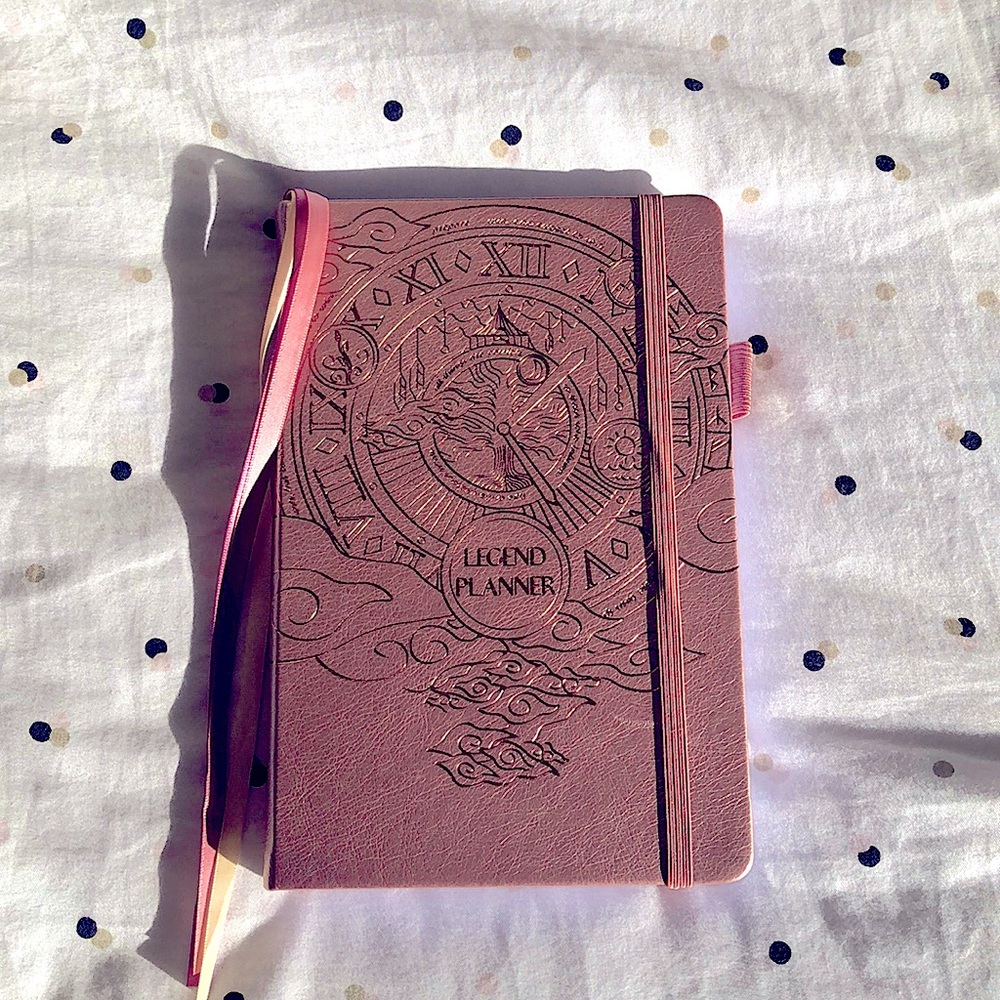 NWOT Planner Rose Gold M and W planning